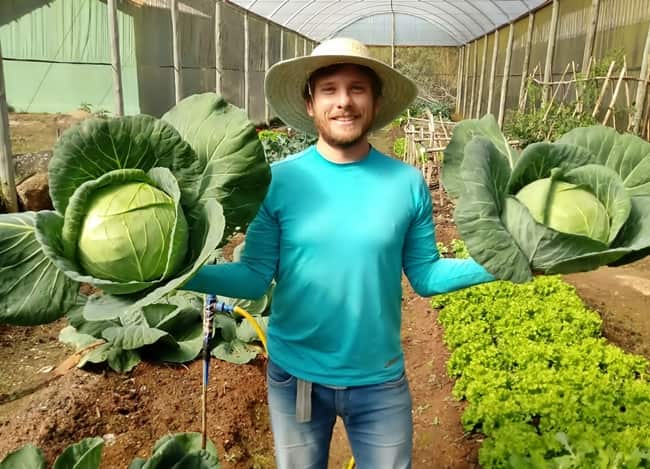 Engenheiro ambiental lança curso online sobre hortaliças.